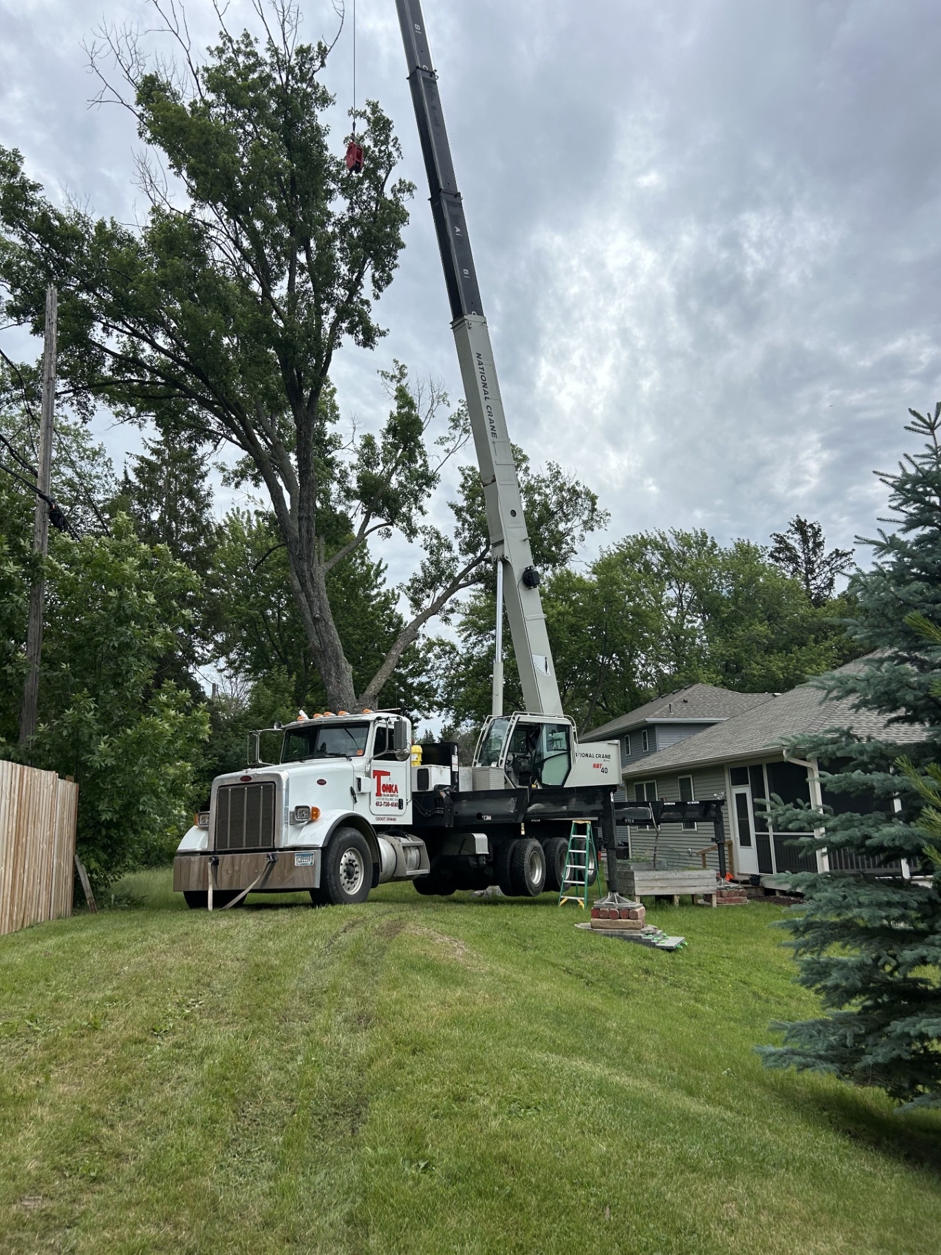 Tree Removal Setup