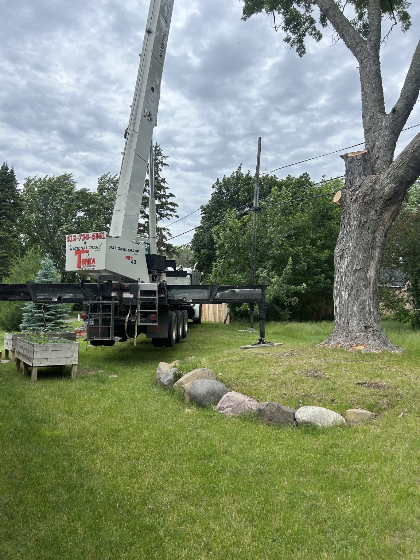 Tree Service